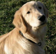 Picture of Carrie